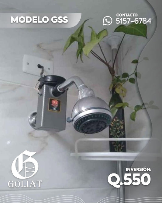 Diseño GS